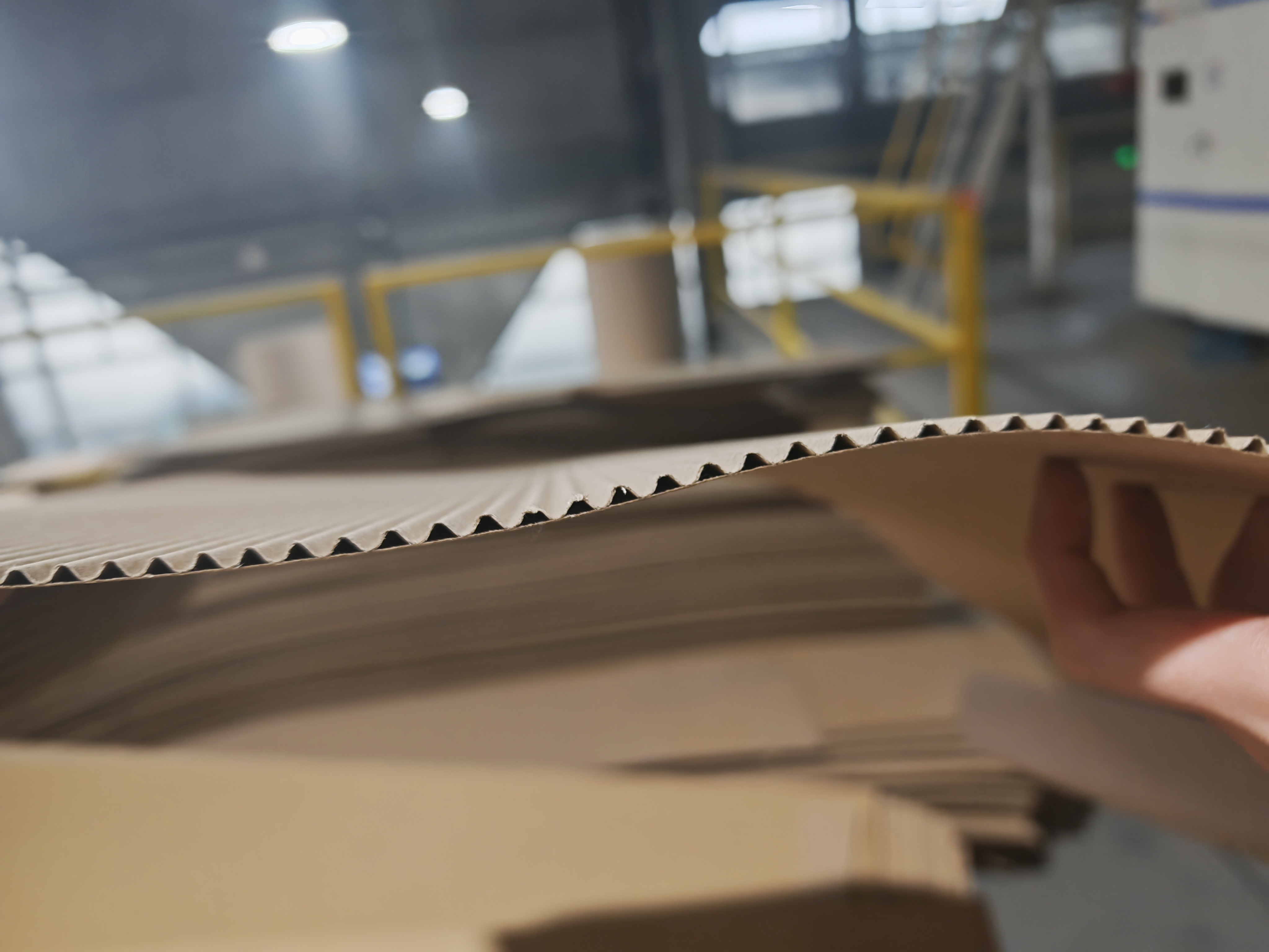 两四层板瓦楞纸板